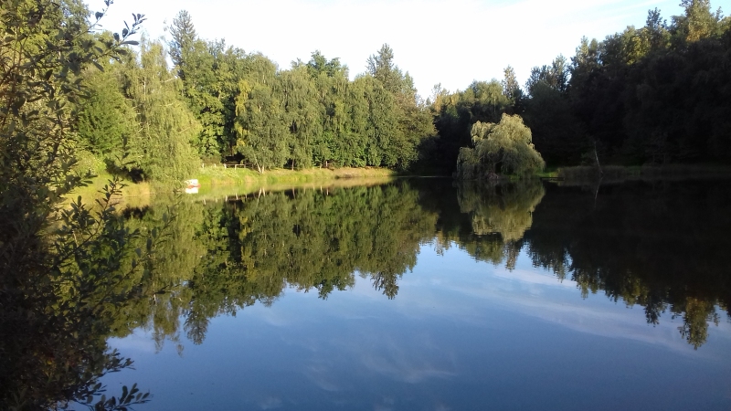 L'étang de Nadine et Georges MACARY  pour concours de pêche à Concèze. Etang privé de 1 ha pour la pêche situé a moins d'un km du gîte de Leycuras