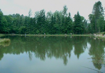 L'étang de Nadine et Georges MACARY  pour concours de pêche à Concèze. Etang privé de 1 ha pour la pêche situé a moins d'un km du gîte de Leycuras