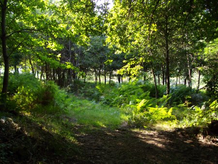 L'étang de Nadine et Georges MACARY  pour concours de pêche à Concèze. Etang privé de 1 ha pour la pêche situé a moins d'un km du gîte de Leycuras