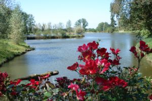 Location week-end Etang privé de 0,93 ha pour la pêche situé a moins d'un km du gîte de Leycuras